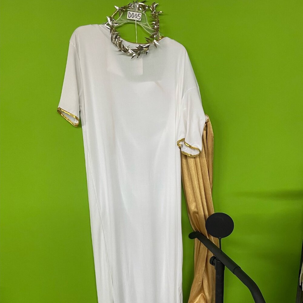Toga Costume With Gold Armbands & Headpiece